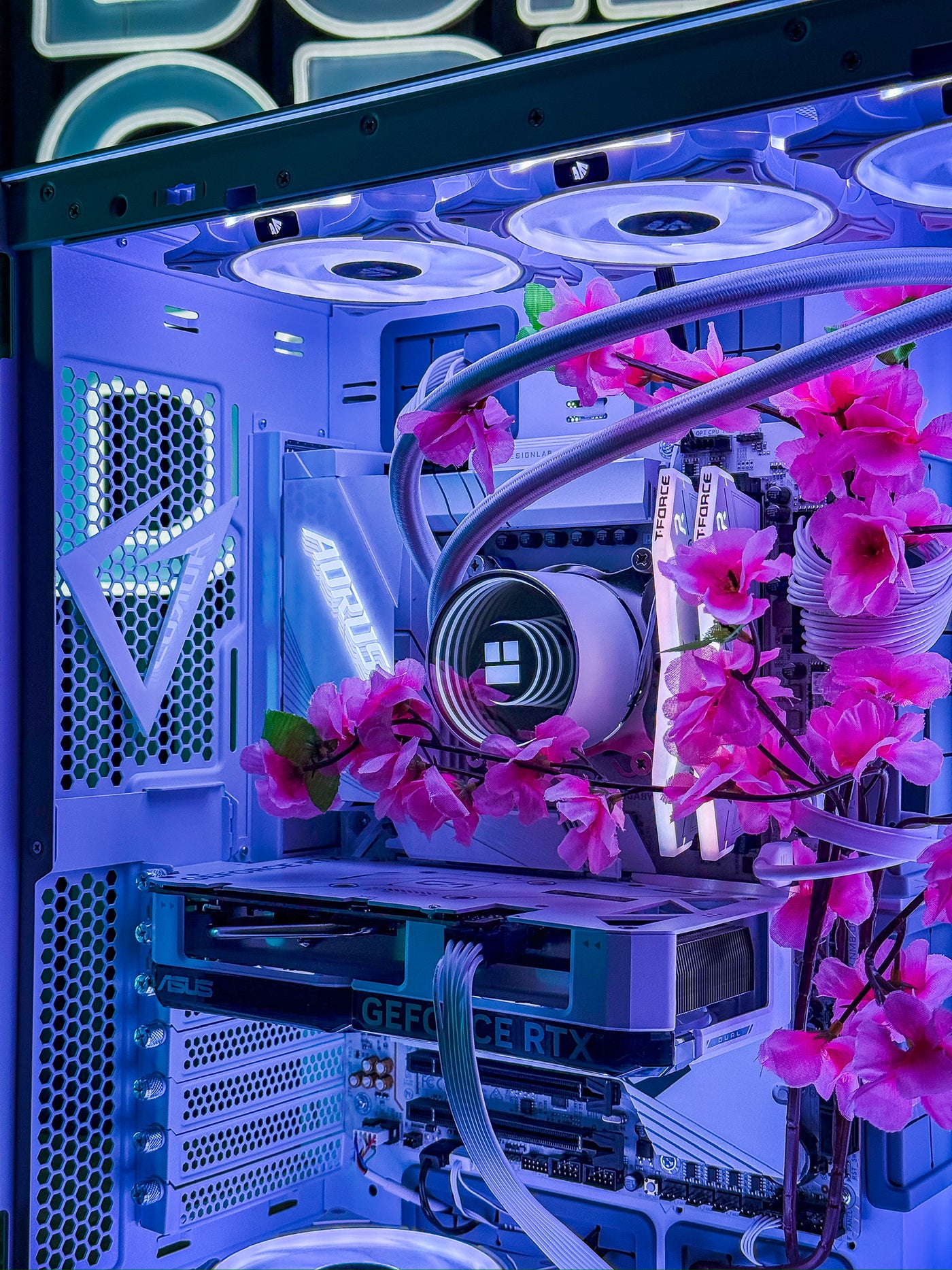 "Cherry Blossom" | Pre-Configured 50 Series (4-6 Weeks)